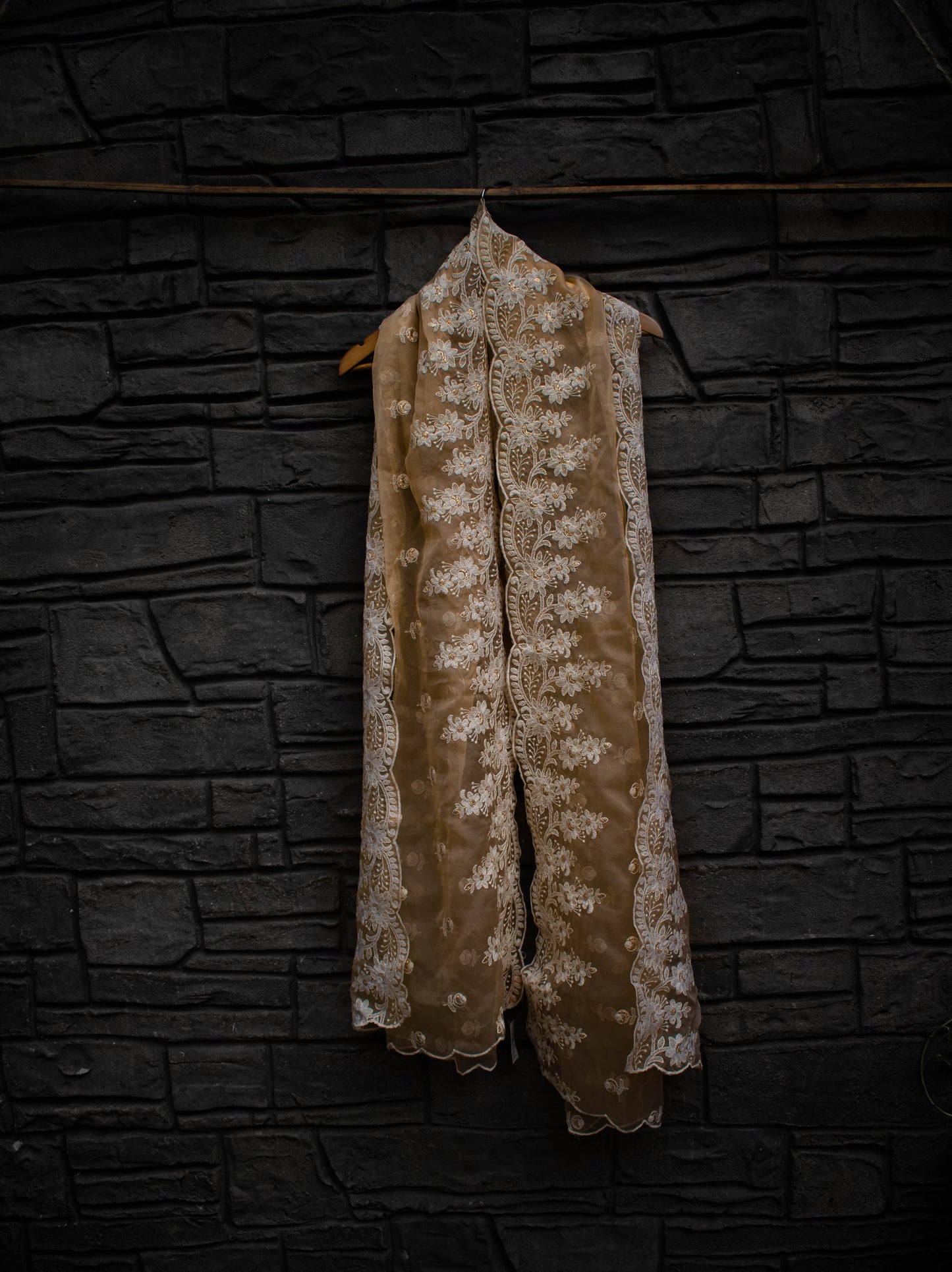 Beige Organza Embroidered Dupatta