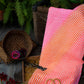 Pink Orange Leheriya Saree