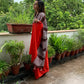 Red Stripe Mul Cotton Saree