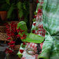 Red Green Shibori Linen Saree