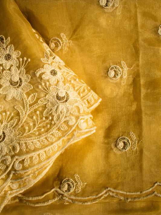 Beige Organza Embroidered Dupatta